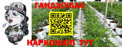 соль ск Будённовск