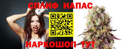 соль ск Будённовск