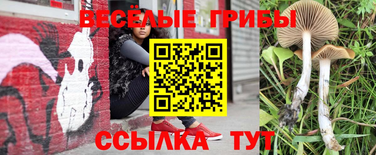 наркошоп  Псилоцибиновые грибы GOLDEN TEACHER  Вход с VPN  Лабытнанги 